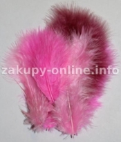 PIORKA DEKORACYJNE ROZOWE MIX 20 SZT 0050-54