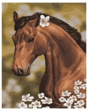 Malowanie po numerach - Koń z rumiankiem 40x50