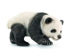 Młoda Panda Olbrzymia (14707)