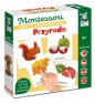 Kapitan Nauka. Montessori. Karty sensoryczne. Przyroda (3+)