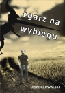 Łgarz na wybiegu