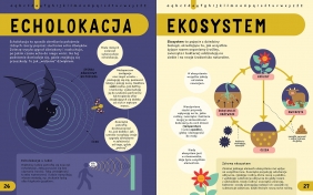 Encyklopedia STEM od A do Z. 100 naukowych słów, które musisz znać! - Jenny Jacoby