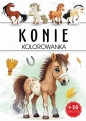 Konie - Opracowanie zbiorowe