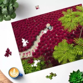 Ravensburger, Puzzle 500: Zbiory (12001707)