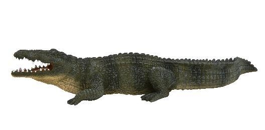 ANIMAL P. Krokodyl nilowy