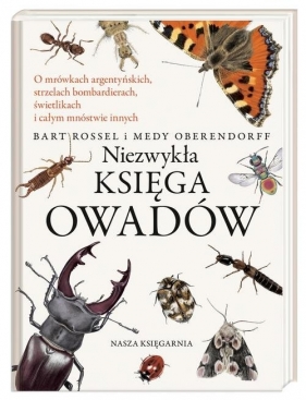 Niezwykła księga owadów (Uszkodzona okładka) - Bart Rossel