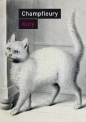 Koty. Historia, zwyczaje, obserwacje, anegdoty - Jules Champfleury