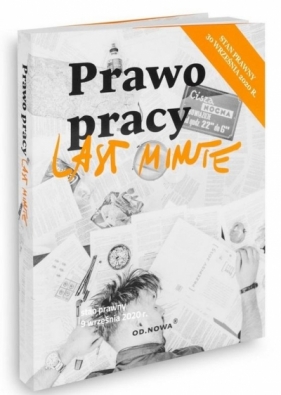 Last Minute. Prawo pracy 2020 - Urszula Torbus, Michał Barański