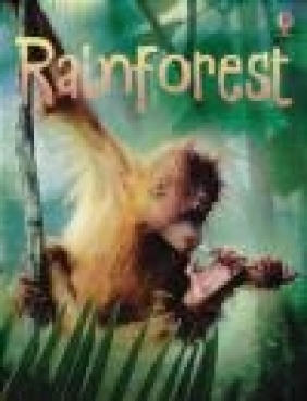 Rainforest