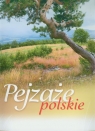 Kalendarz 2013 RW 7 Pejzaże polskie