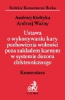 Ustawa o wykonywaniu kary pozbawienia wolności poza zakładem karnym w systemie Kiełtyka Andrzej, Ważny Andrzej