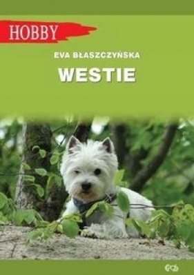 Westie. West highland white terrier - Eva Błaszczyńska