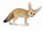 Lis fennec (004-88607)