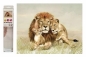 Mozaika diamentowa lwy M45188