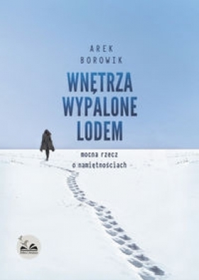 Wnętrza wypalone lodem - Arek Borowik