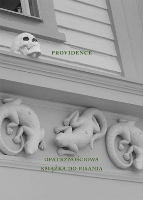 Providence - Taborska Agnieszka