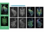 Wydrapywanka kolorowa fluorescencyjna pawie