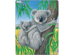 Koala - <br />
