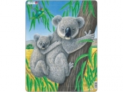 Koala - <br />