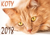 Kalendarz 2018 Koty SM4