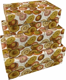 Pudełka ozdobne Pomarańczowe kwiaty 3szt