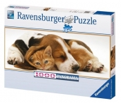 Puzzle Kot i pies Panoramiczne 1000 (151080) - <br />