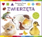 Zwierzęta. Akademia mądrego dziecka. Kolorowy świat malucha