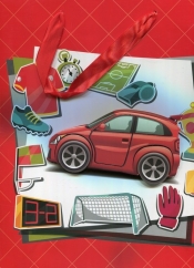 Torebka ozdobna średnia 3D sportowa 12 sztuk mix wzorów