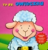 To ja owieczka Zwierzaki kiwaki Gintowt Małgorzata