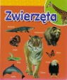 Zwierzęta