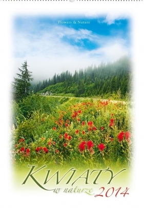 Kalendarz 2014 RW 8 Kwiaty w naturze - <br />