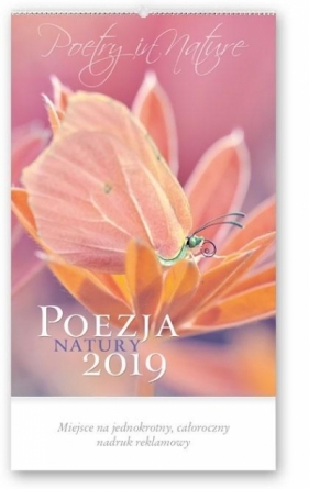 Kalendarz 2019 Reklamowy Pozeja natury RW18