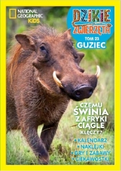 Dzikie Zwierzęta 23 - Guziec