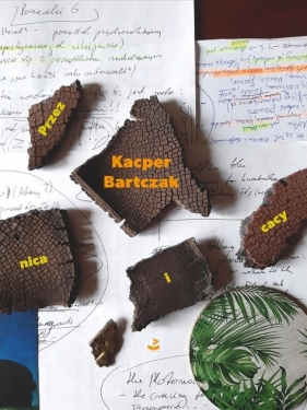 Przez nica i cacy - Kacper Bartczak