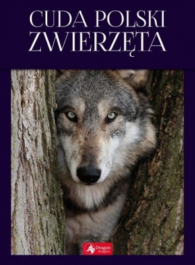 Cuda Polski Zwierzęta - Łukasz Przybyłowicz
