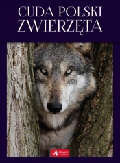 Cuda Polski Zwierzęta - Łukasz Przybyłowicz