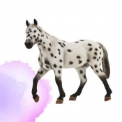 ANIMAL P. Ogier Appaloosa