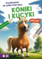 Kolorowanki na cztery pory roku. Koniki i kucyki - Opracowanie zbiorowe