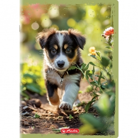 Zeszyt Herlitz Animals A4/32k kratka z marginesem, 1 szt