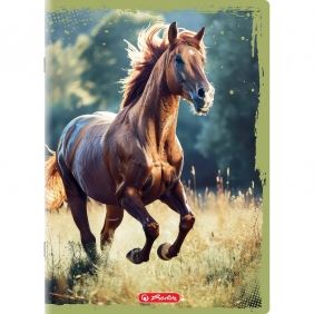 Zeszyt Herlitz Animals A4/32k kratka z marginesem, 1 szt