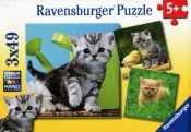 Puzzle Przygoda kociaka 3x49
