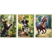 Zeszyt Herlitz Animals A4/32k kratka z marginesem, 1 szt