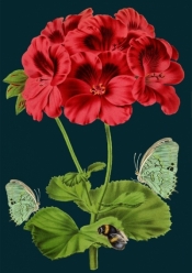 Karnet B6 z kopertą Pszczoła i motyle