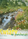 Kalendarz 2013 RW 8 Kwiaty w naturze