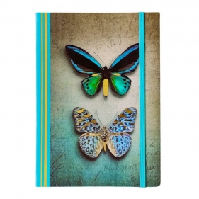 Notatnik Wings A5/80k linie - Para Motyli