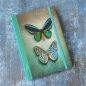 Notatnik Wings A5/80k linie - Para Motyli