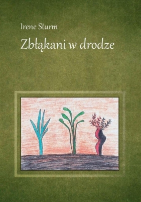 Zbłąkani w drodze - Irene Sturm