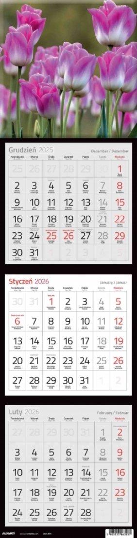 Kalendarz 2026 trójdzielny kwadratowy, 1 szt