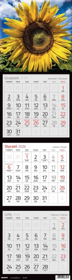 Kalendarz 2026 trójdzielny kwadratowy, 1 szt