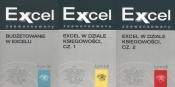 Excel zaawansowany Tom 7/ Tom 8 / Tom 11 - <br />